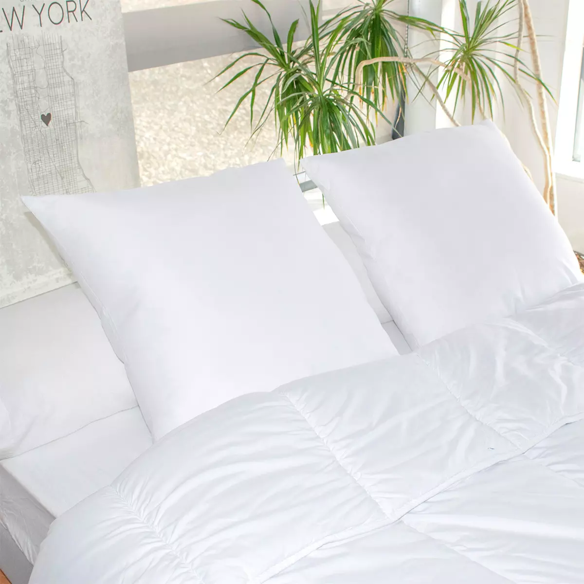 Lot de 2 oreillers carrés (60 cm) Respirants Blanc 1