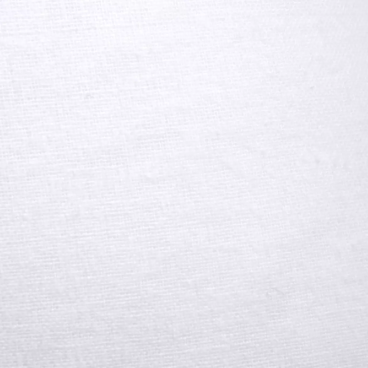 Funda protectora de almohada (60 x 60 cm) Elisa Blanco 2