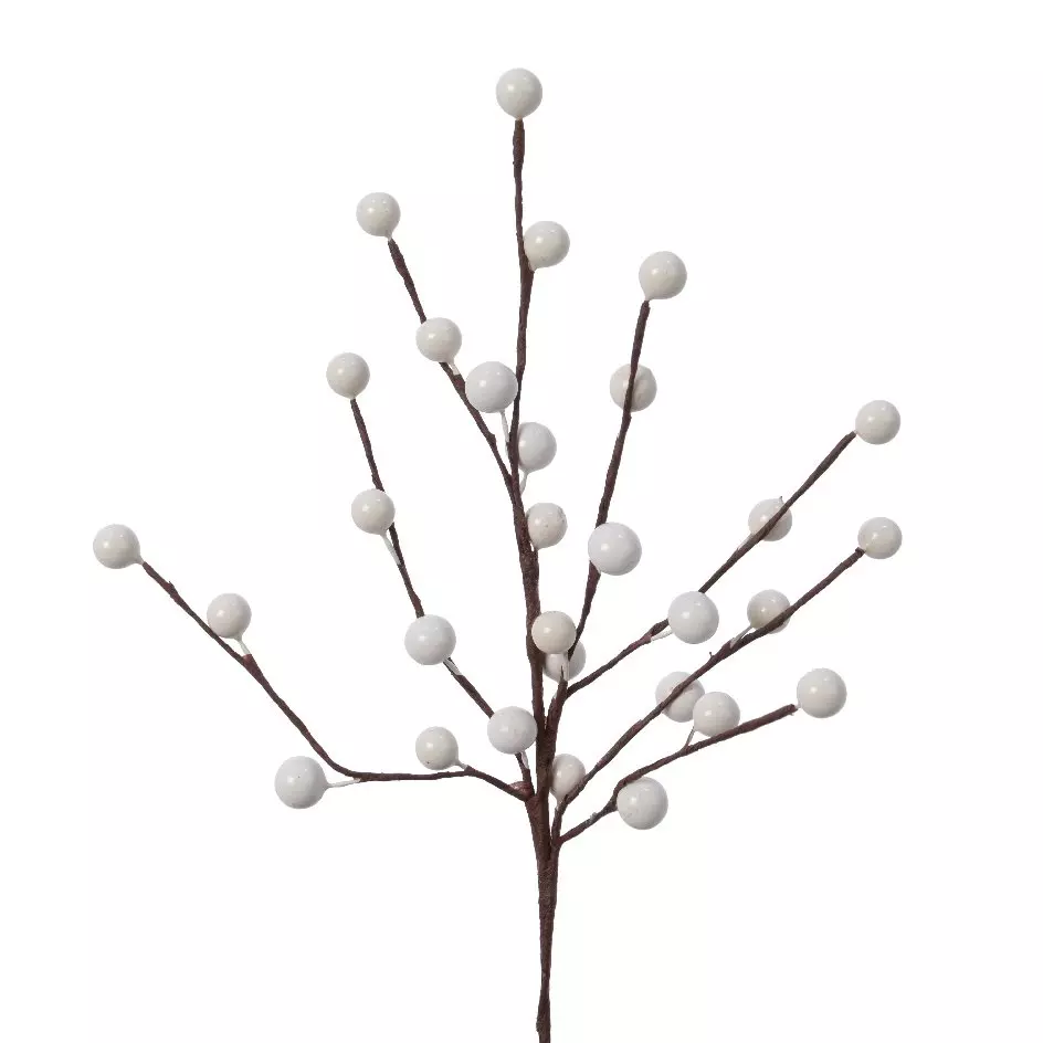 Decoratieve Tak Izoenn Wit 1