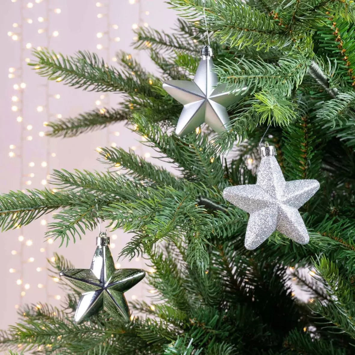Lot de 6 étoiles de Noël à suspendre Alpine Argent 1