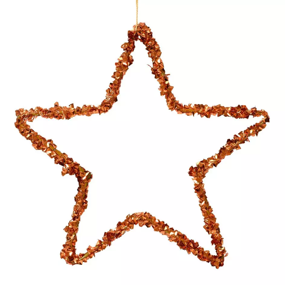 Stella di Natale Tyla Ginger 1
