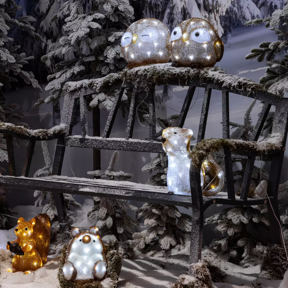 Hérisson lumineux Emile Blanc froid 30 LED 3