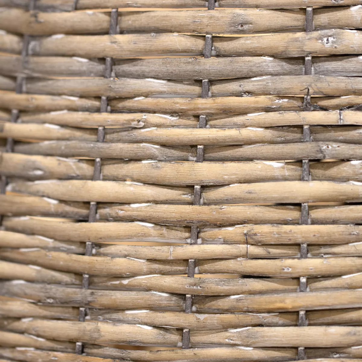 Cubre  pie de árbol Saule Gris 3