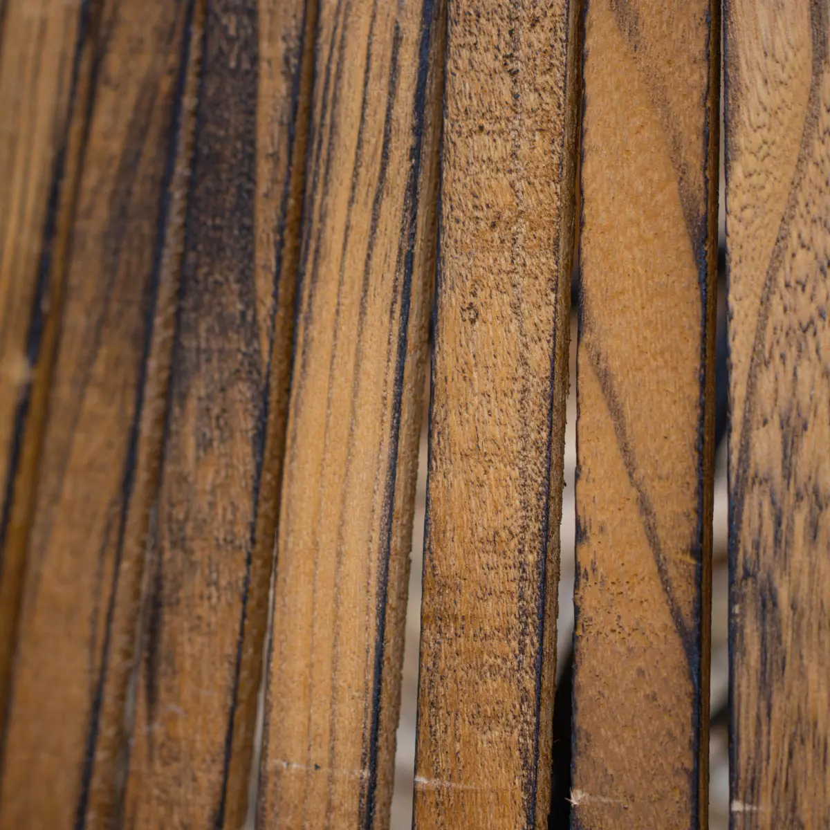 copri base albero Paulownia Legno 2