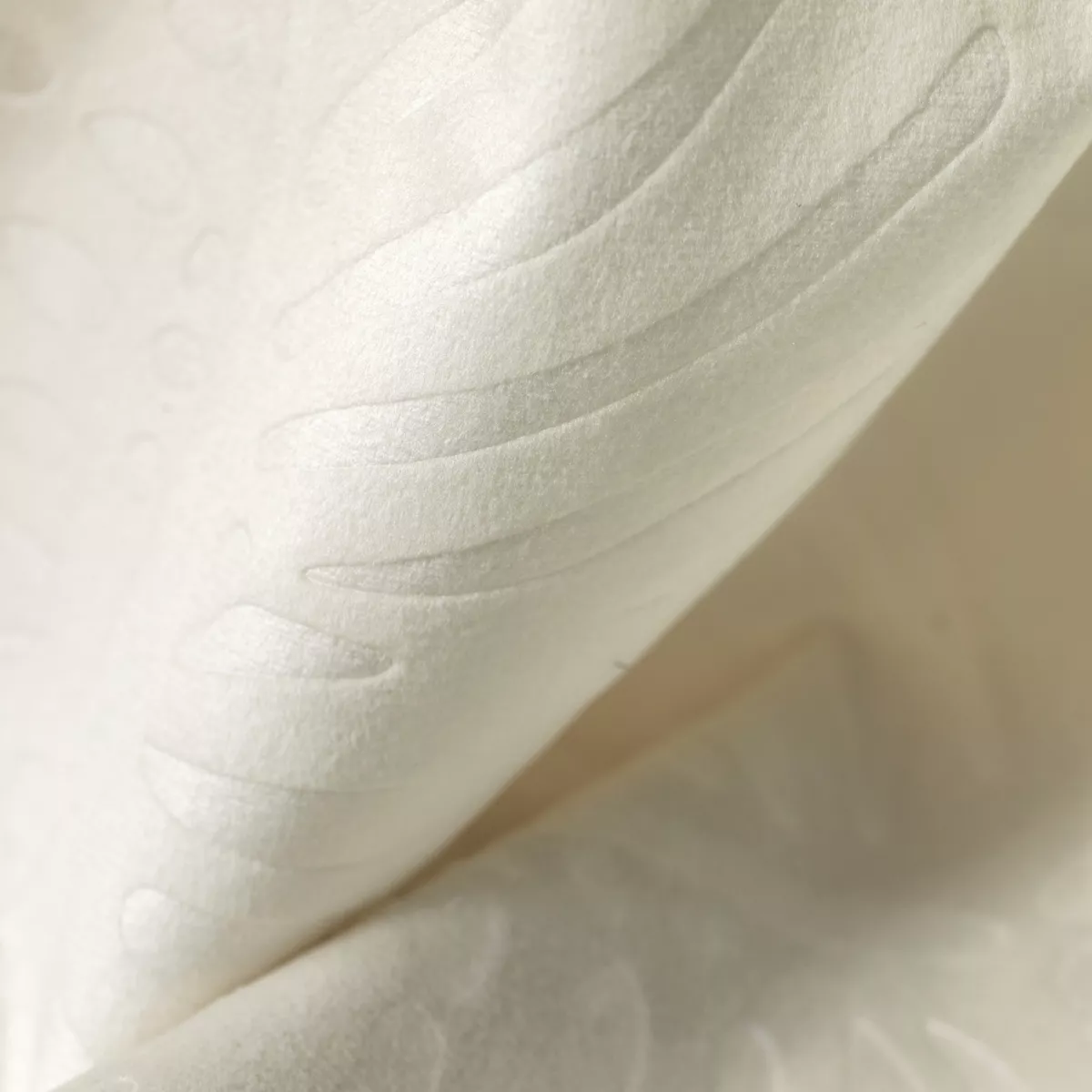 Tenda oscurante velluto (180 x 260 cm) Fern Ecru