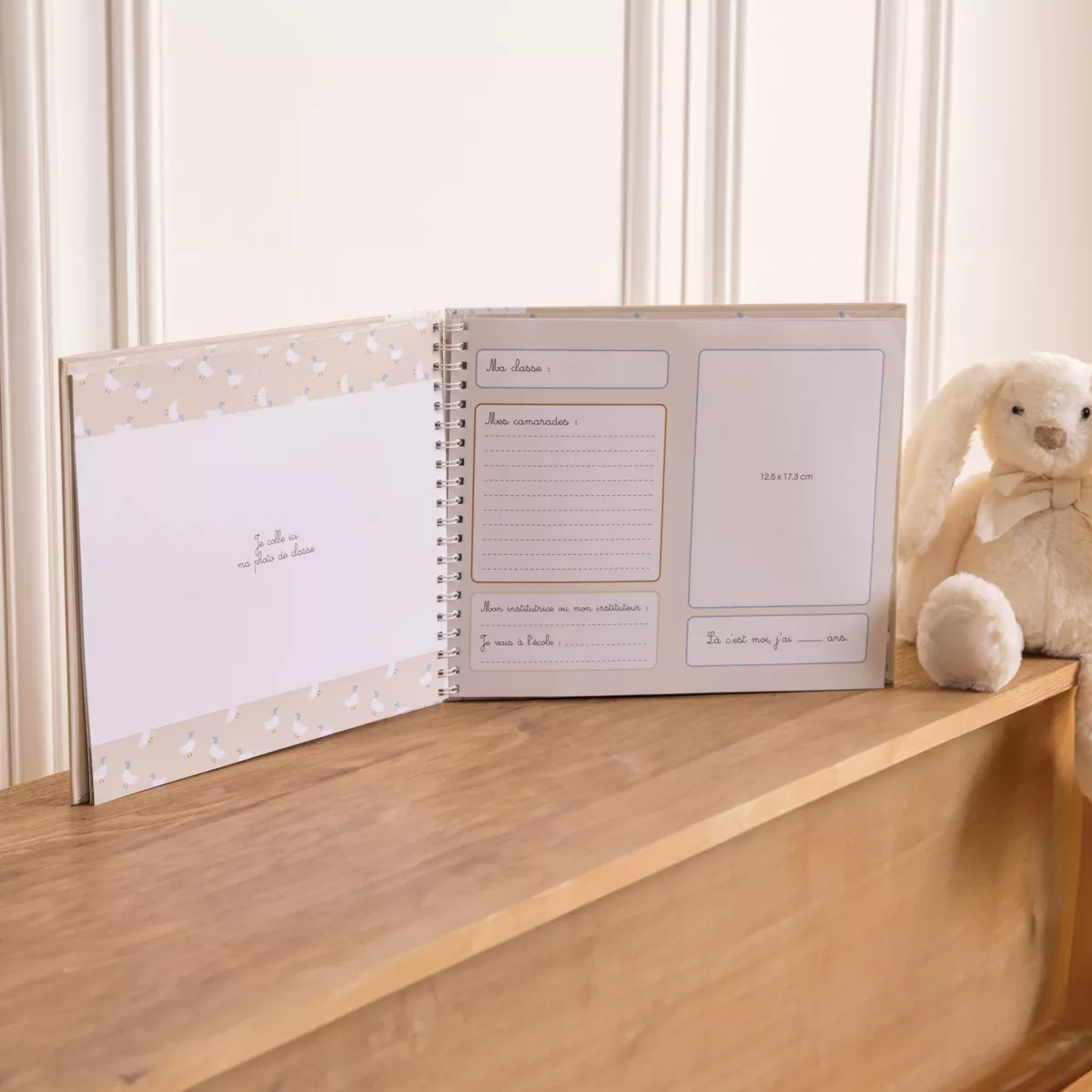Album photos de classe 15 photos (H32,5 cm) School Multicolore