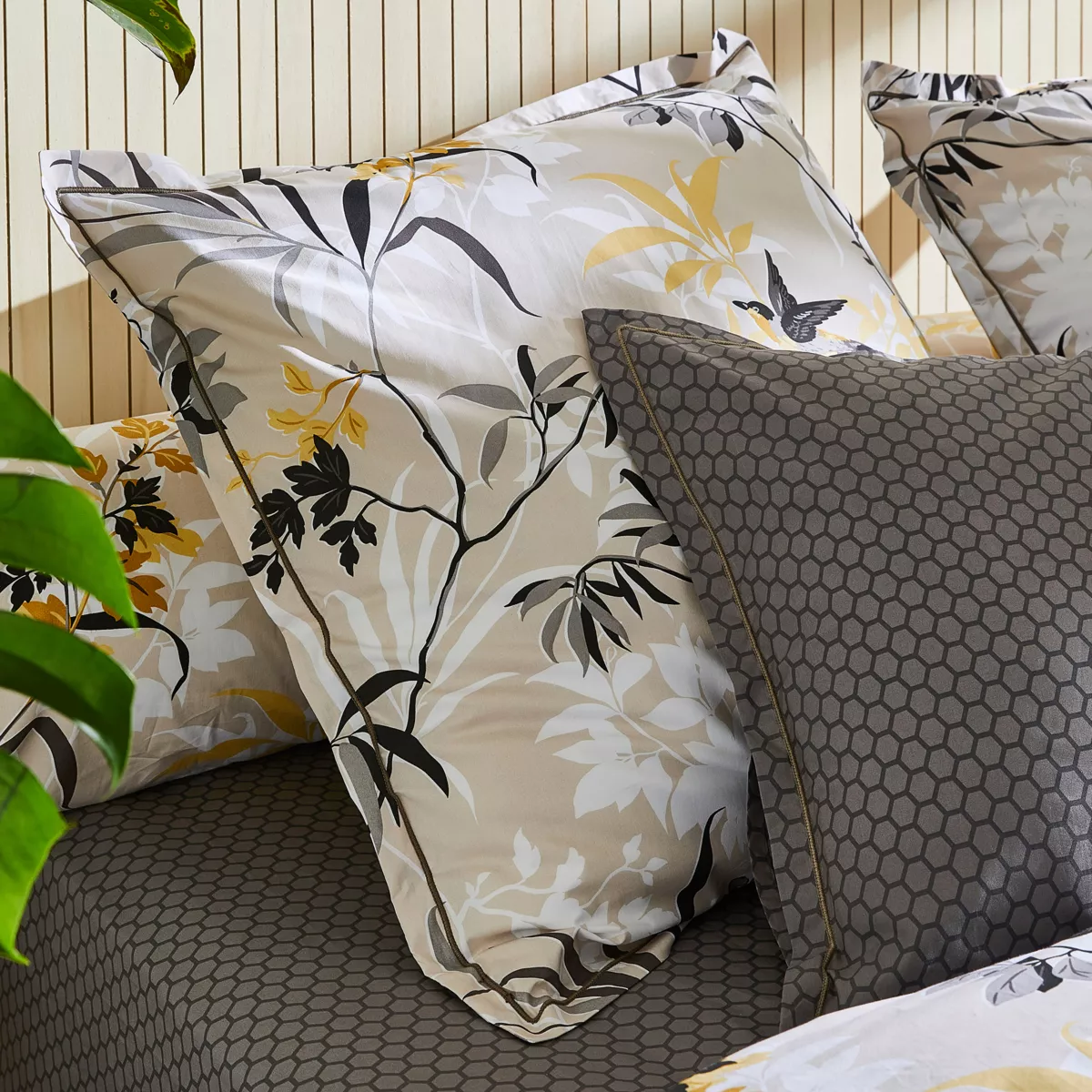 Federa cuscino letto quadrata in percalle di cotone (65 x 65 cm) Asia Beige