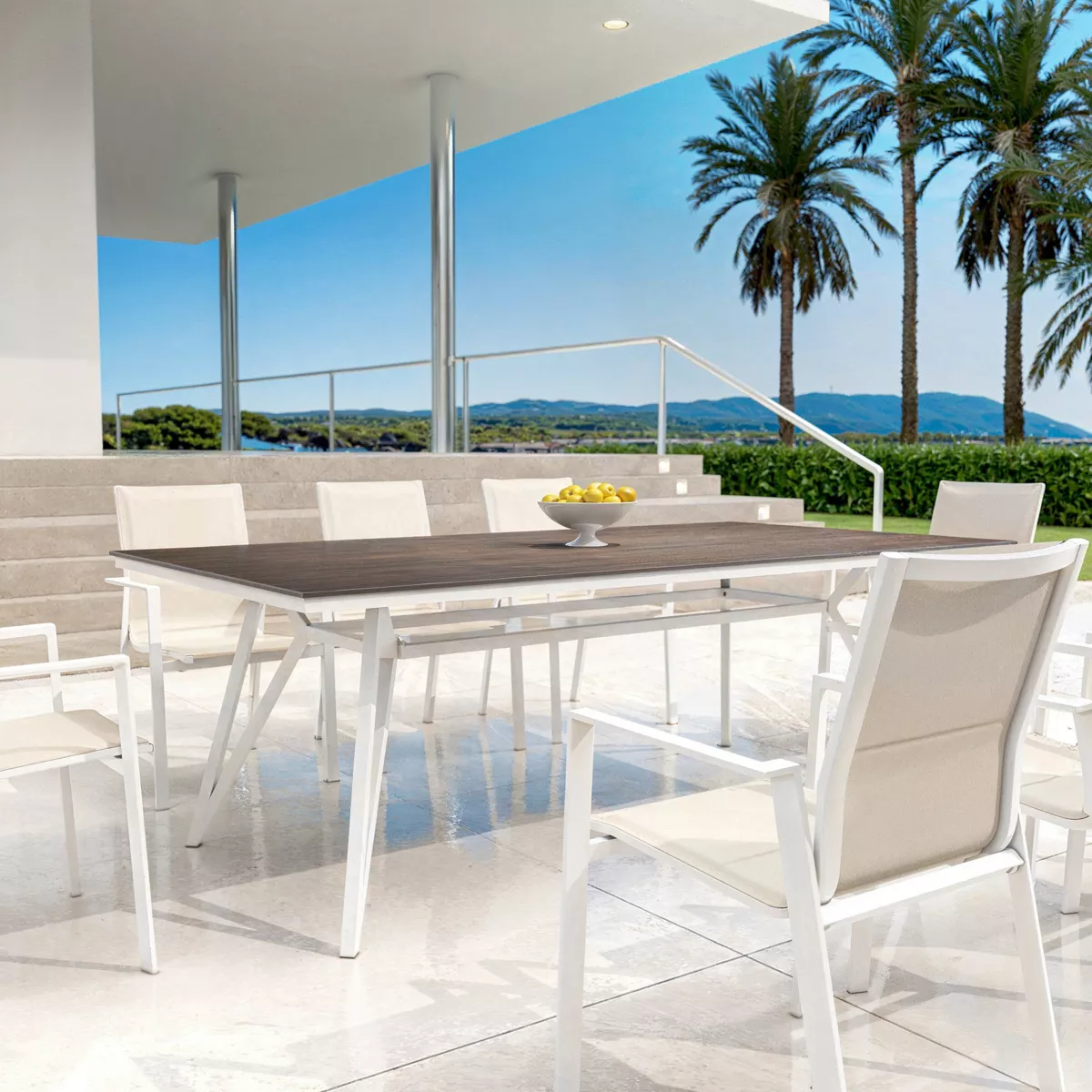 Table de jardin aluminium/HPL 10 places (220 x 115 cm) Biarritz - Effet Bois/Blanc