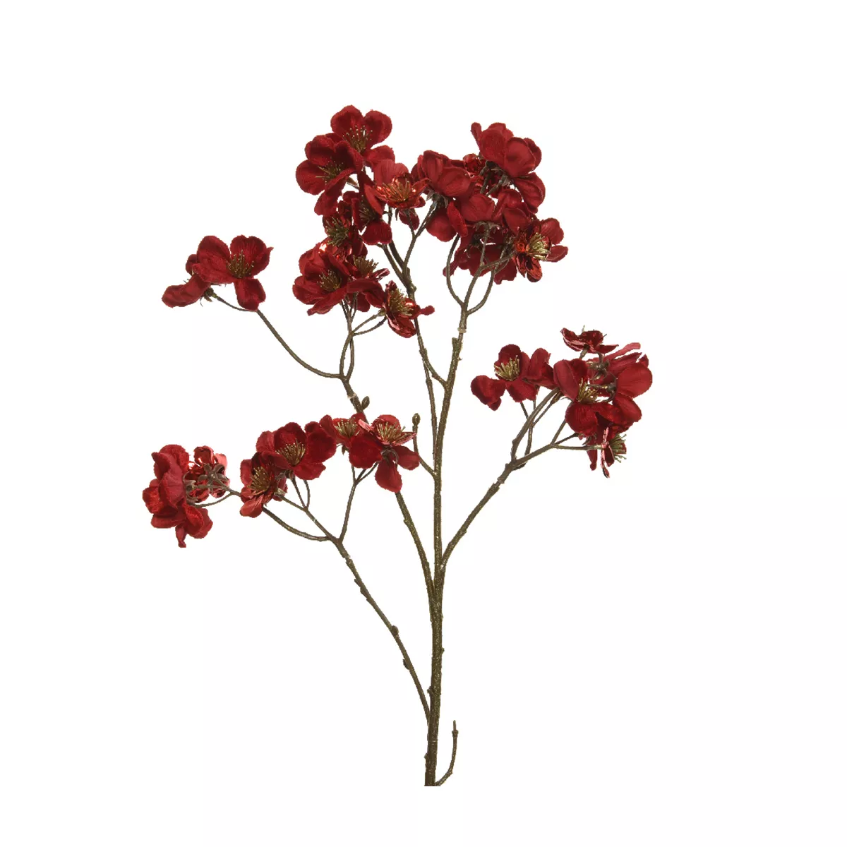 Tak met bloemen (H78 cm) Rode fluwelen Kornoelje