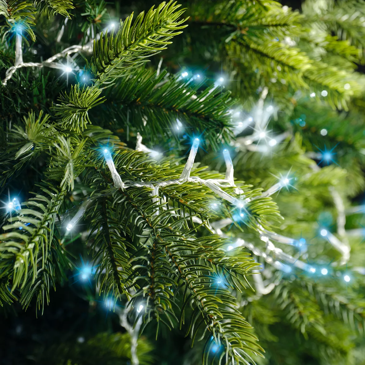 1 LED compact guirlande 1600cm-750L transparent/blanc froid/bleu