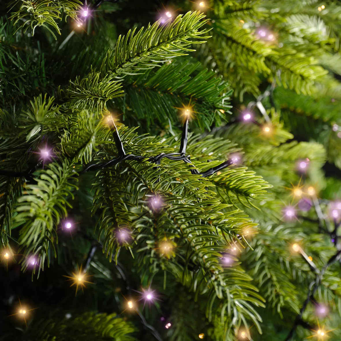 1 LED compact guirlande extŽrieur 3400cm-1500L noir/violet/orange