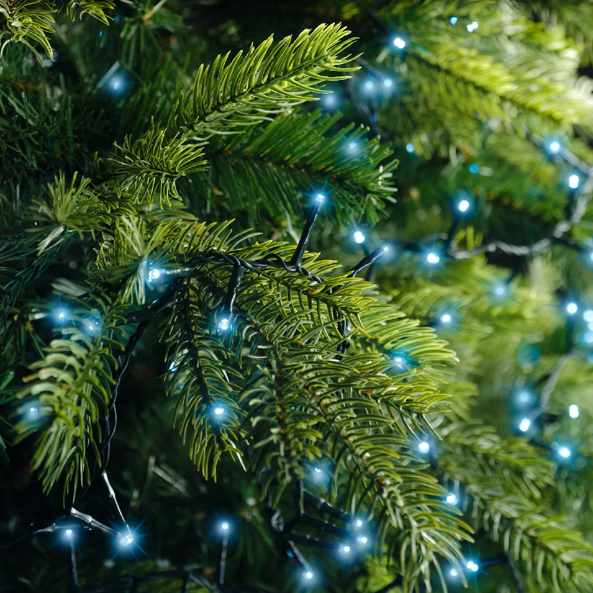 Lichtslinger 11 m 500 LED groene kabel NewLuxe Blauw