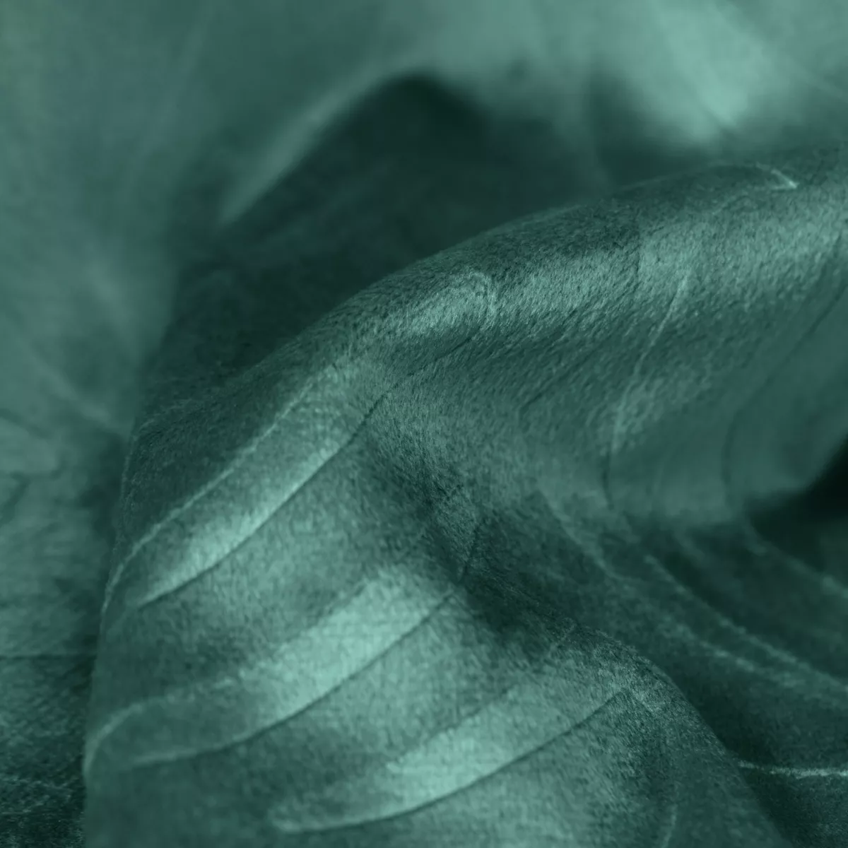 Cojín cuadrado terciopelo (60 x 60 cm) Fern Verde pino