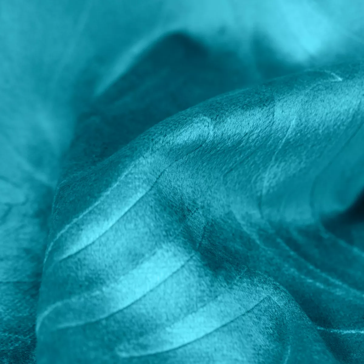 Cojín cuadrado terciopelo (60 x 60 cm) Fern Azul petróleo