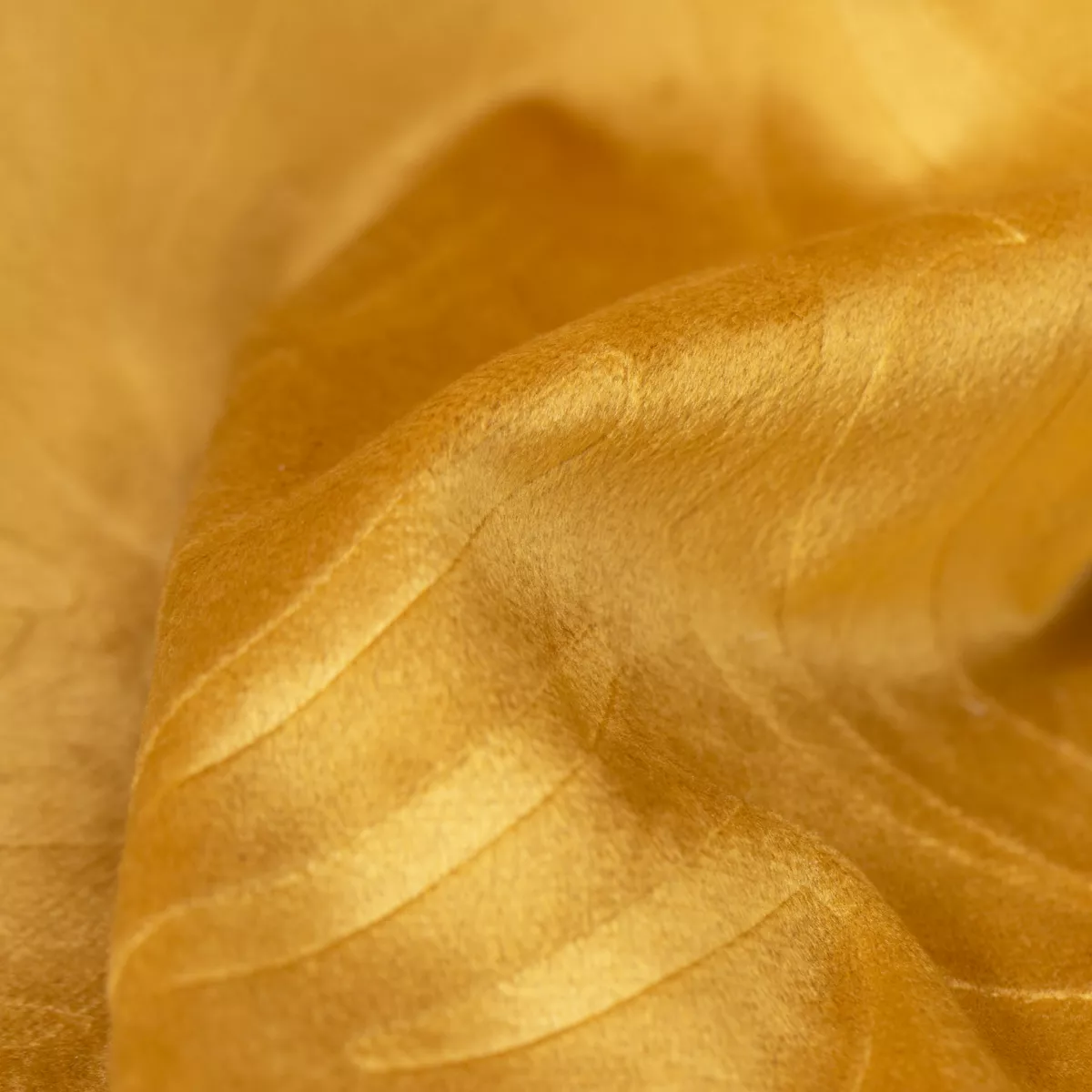 Coussin carré velours (60 x 60 cm) Fern Jaune ocre