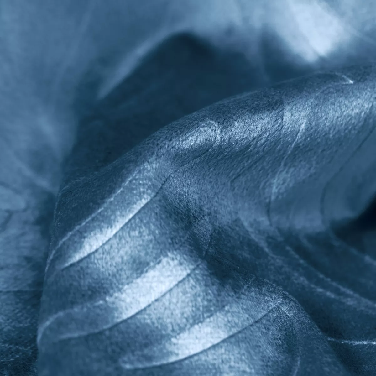 Cojín cuadrado terciopelo (60 x 60 cm) Fern Azul marino