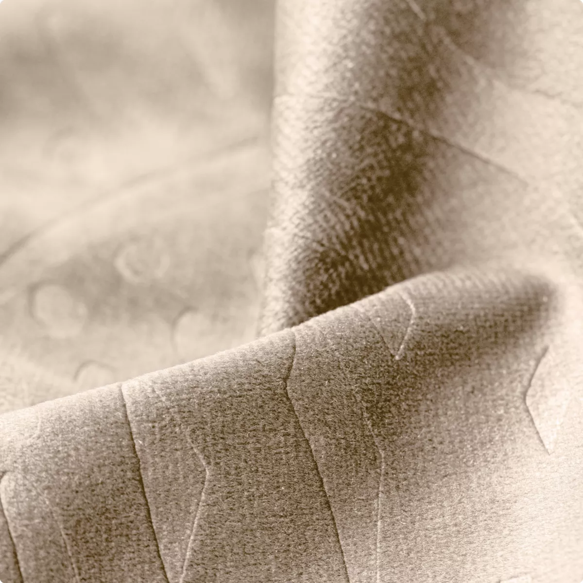 Rideau occultant velours (180 x 260 cm) Fern Taupe