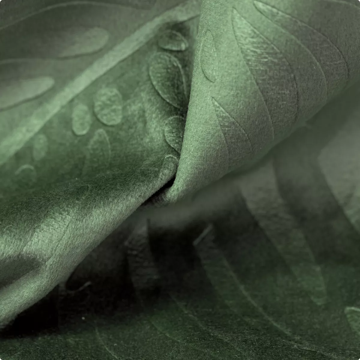 Verdunkelungsvorhang Samt (140 x 240 cm) Fern Rosmaringrün