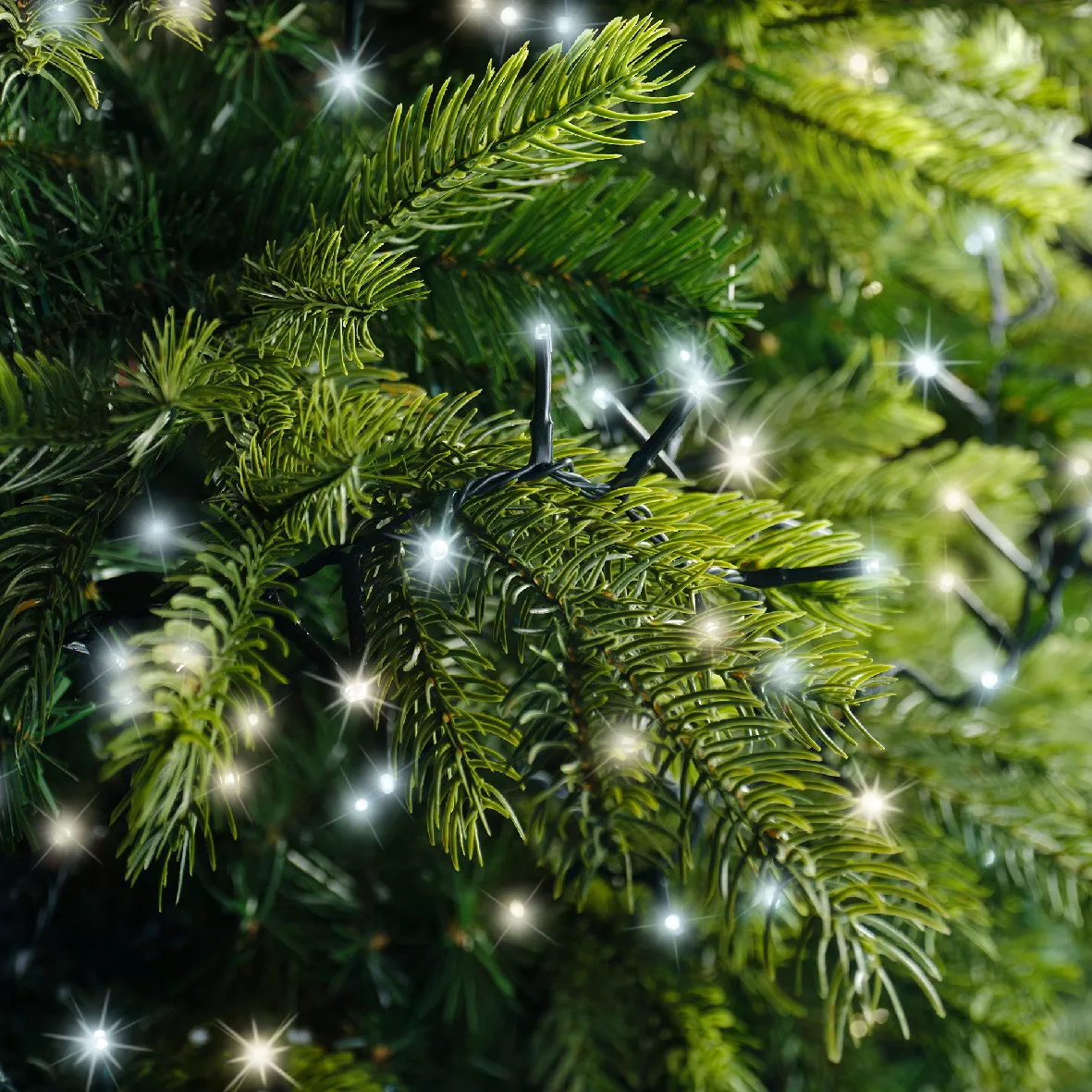 Guirlande lumineuse 11 m 500 LED câble vert NewLuxe Bicolore Blanc chaud/froid