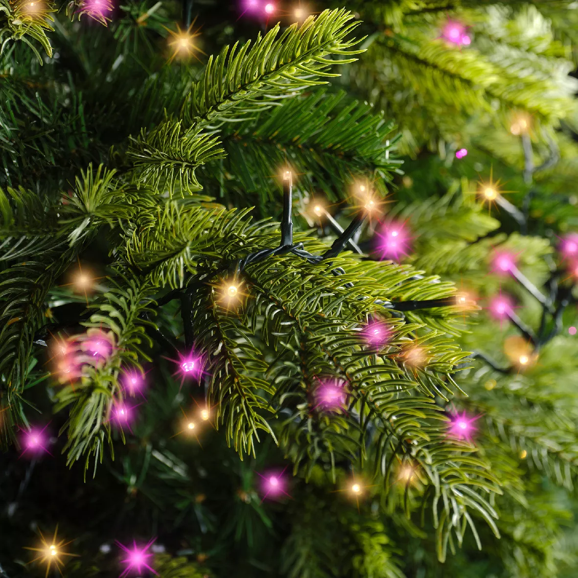 Guirlande lumineuse 34 m 1500 LED câble vert NewLuxe Bicolore Rose/blanc