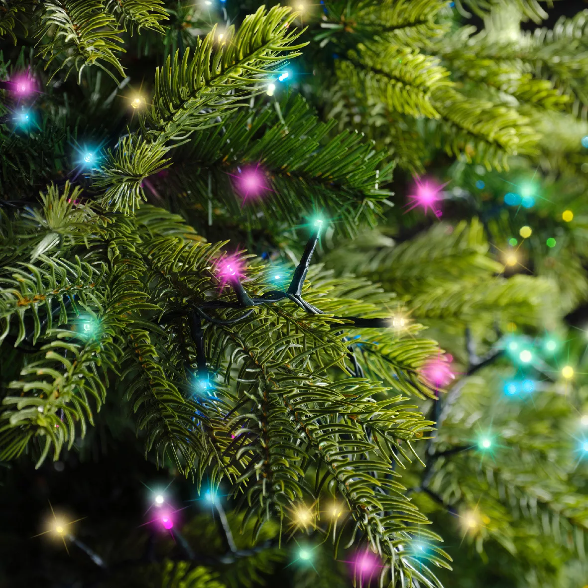 1 LED compact guirlande extŽrieur 3400cm-1500L vert/multi pastel