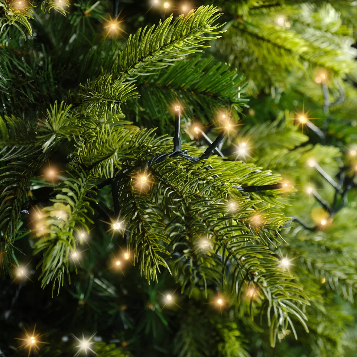 Guirnalda luminosa 22,5 m 1000 LED cable verde Lujo Blanco cálido y dorado cálido