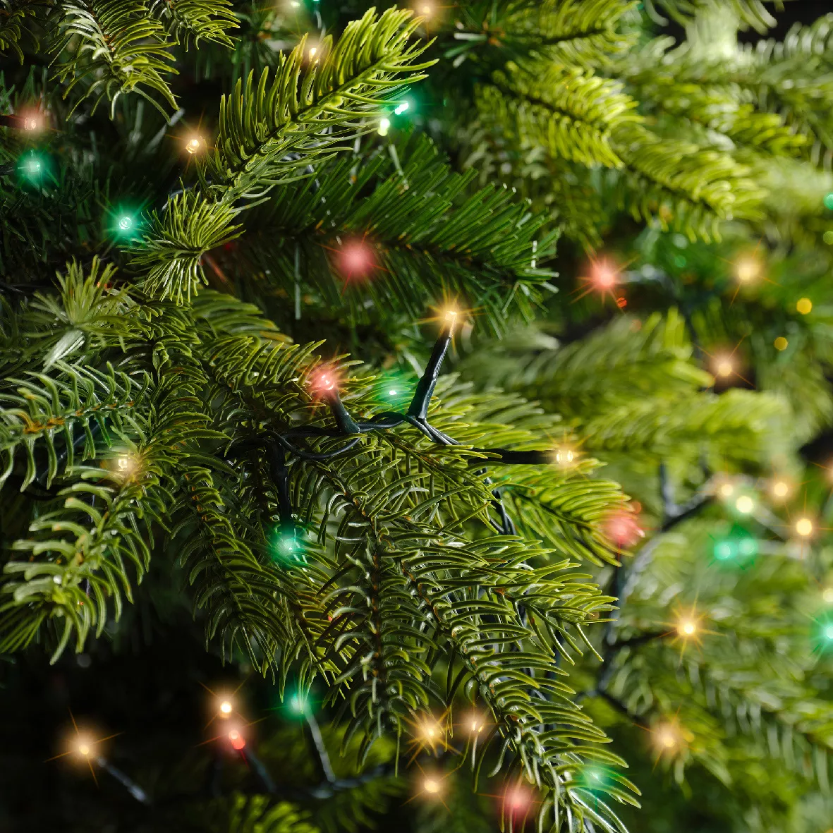 Luxe Lichtsnoer 4,20 m Meerkleurig 576 LED CN