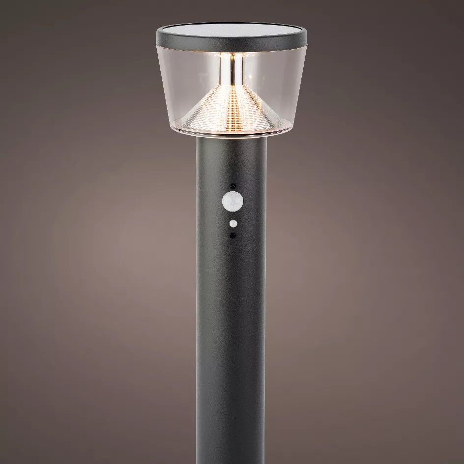 Paletto da giardino solare 40 LED 600 lumen (H54 cm) Orion Grigio antracite