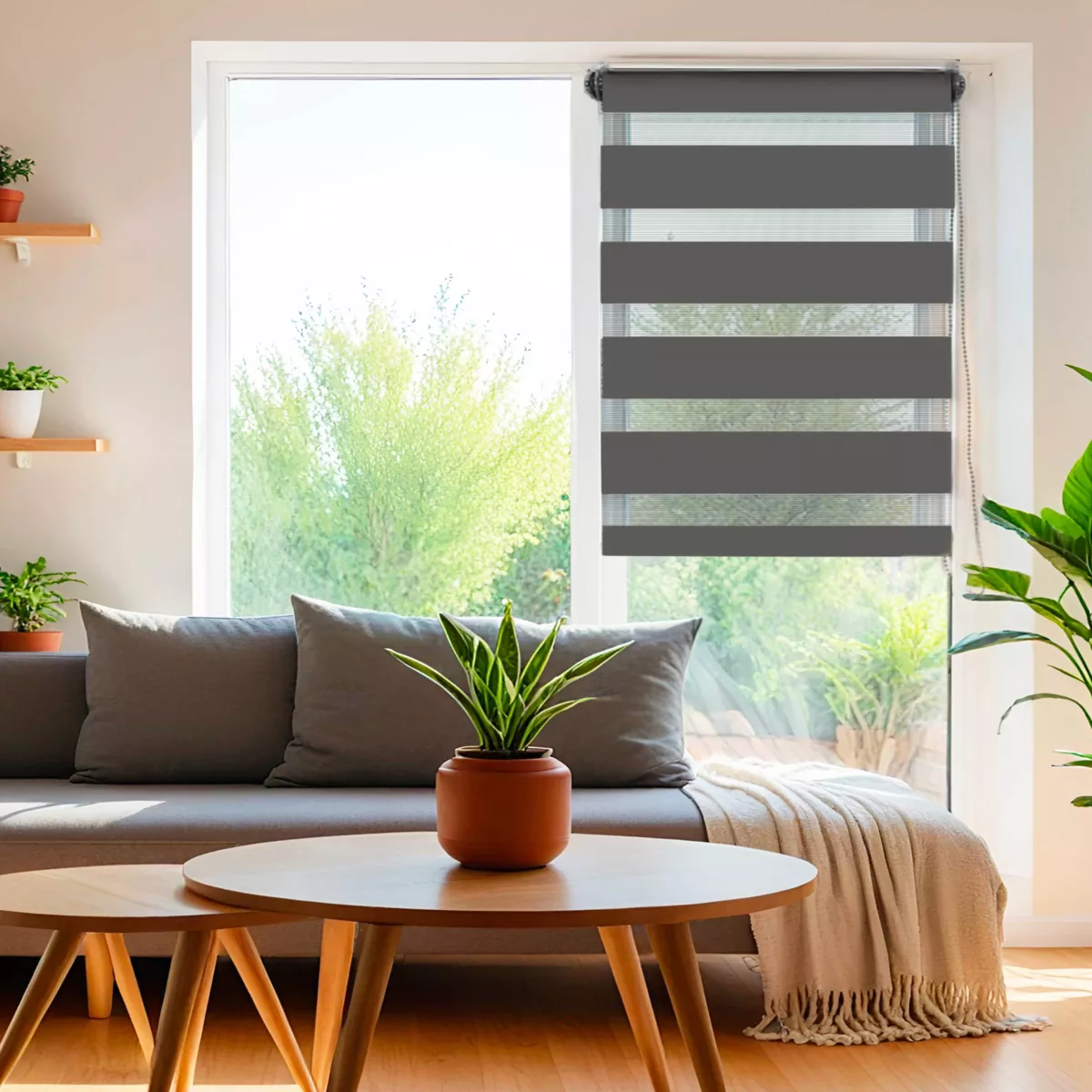 Estor enrollable Día / Noche (45 x 250 cm) Gris antracita 1