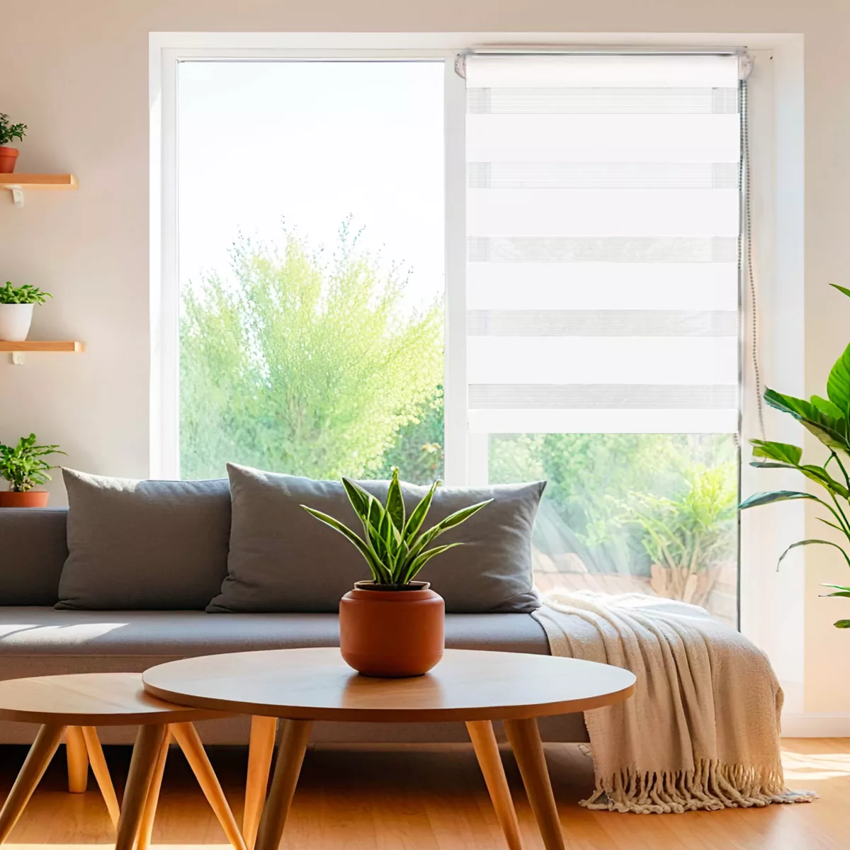 Store enrouleur Jour / Nuit (60 x H250 cm) Blanc 2