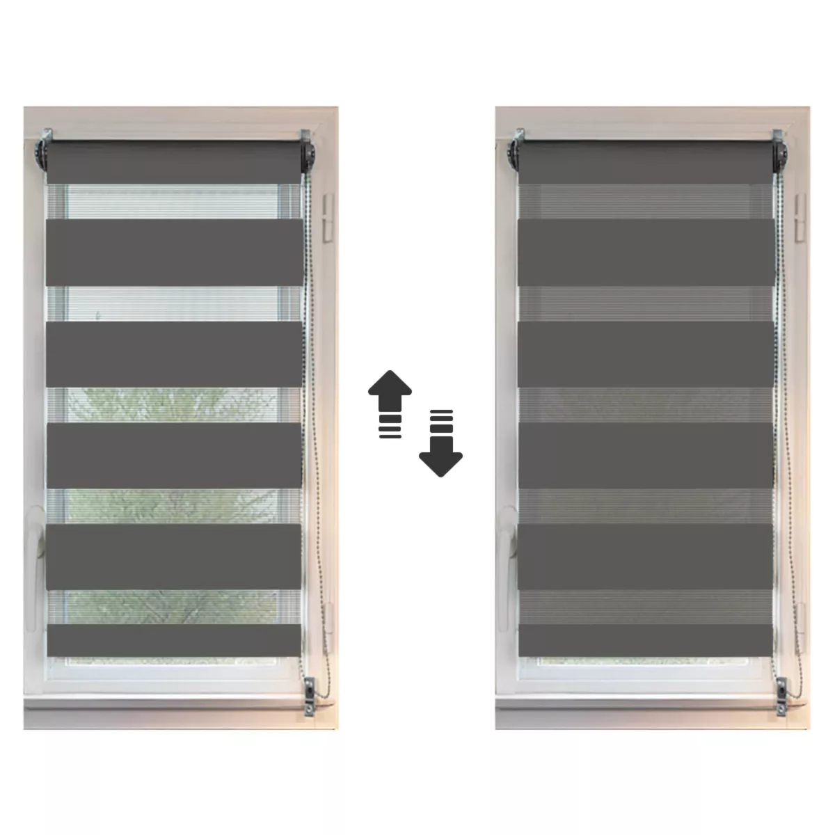 Estor enrollable (60 x 250 cm) Día / Noche Gris antracita