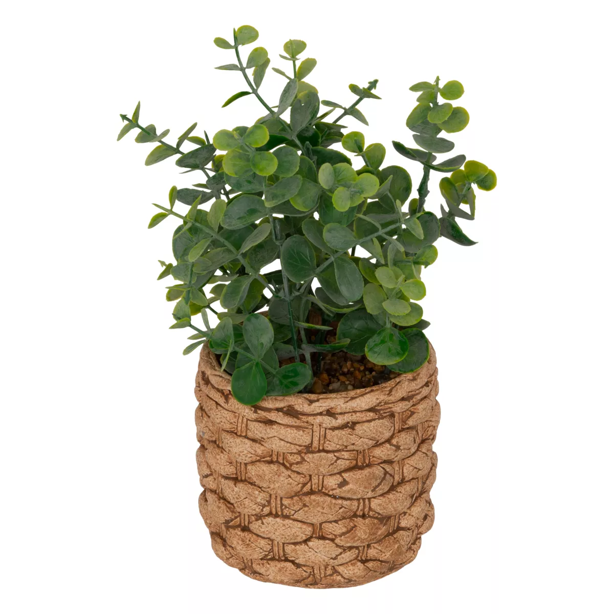 Kunstpflanze im zementierten Topf (H27 cm) Eukalyptus Jaye