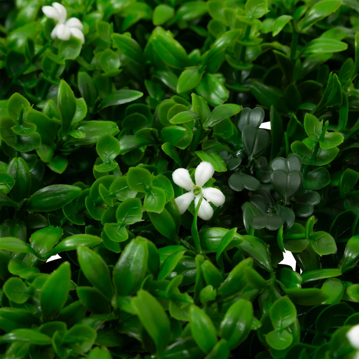 Quadratische Pflanzenwand (50 x 50 cm) Izy Grün