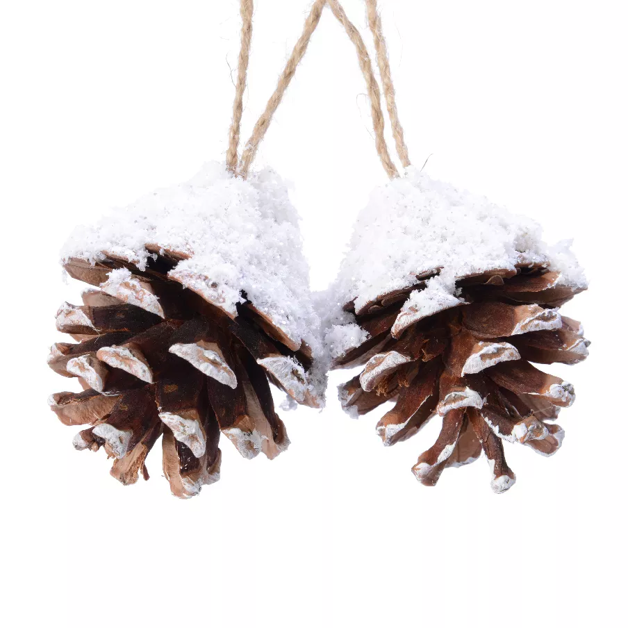 Lote de 2 piñas de pino para colgar Pini Natural