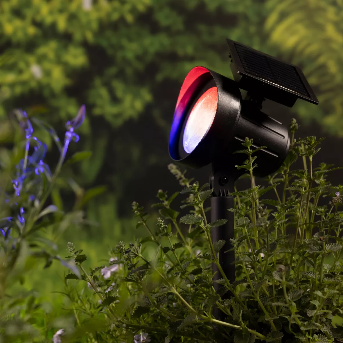 Set di 2 paletti da giardino solari da 25 lumen (H31 cm) Spot Bianco caldo e multicolore