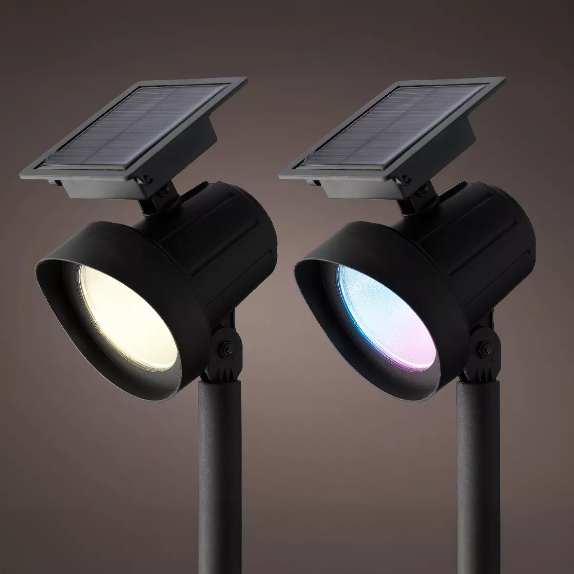 Set di 2 paletti da giardino solari da 25 lumen (H31 cm) Spot Bianco caldo e multicolore