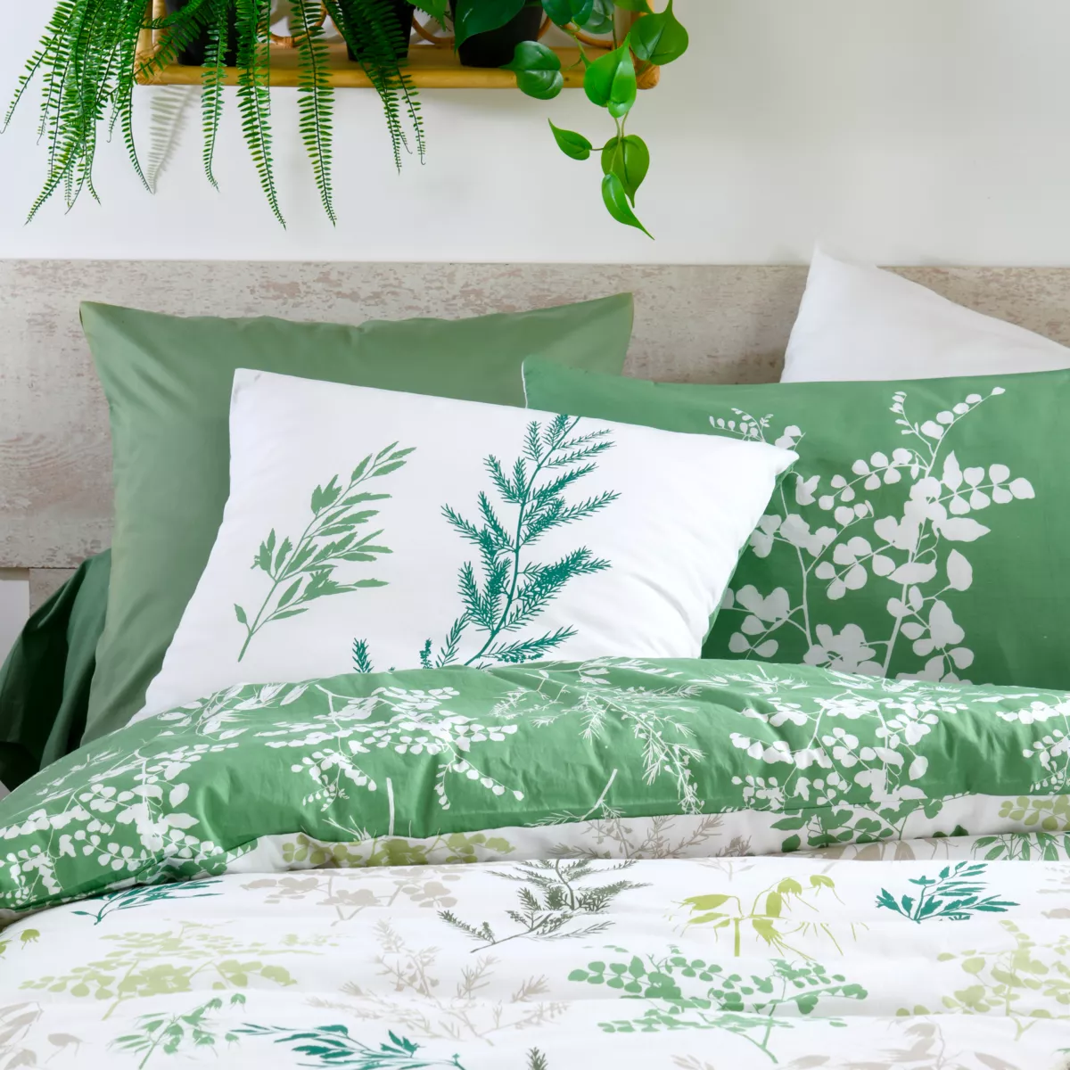 Federa per cuscino rettangolare in percalle (50 x 70 cm) Sylvana Verde