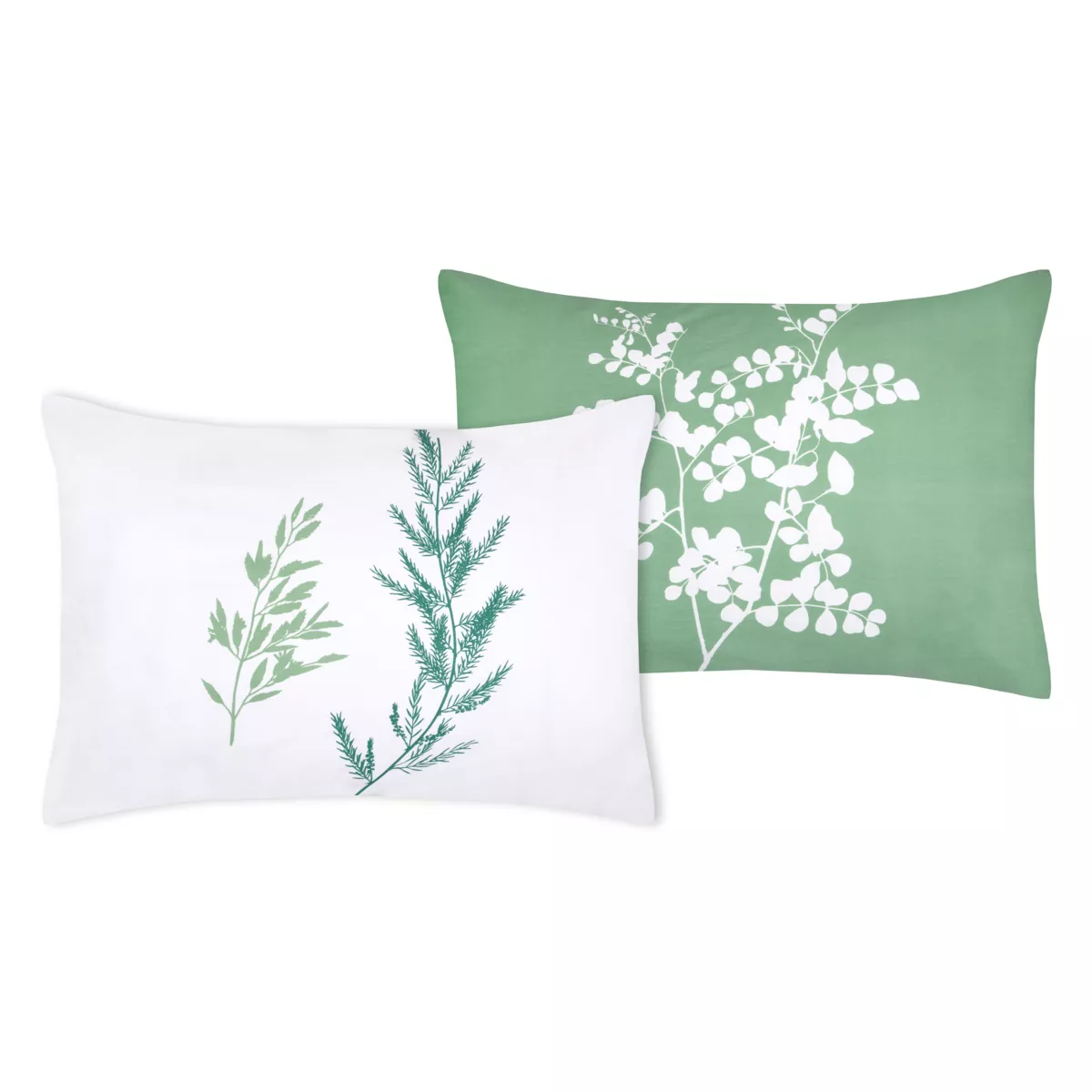Federa per cuscino rettangolare in percalle (50 x 70 cm) Sylvana Verde