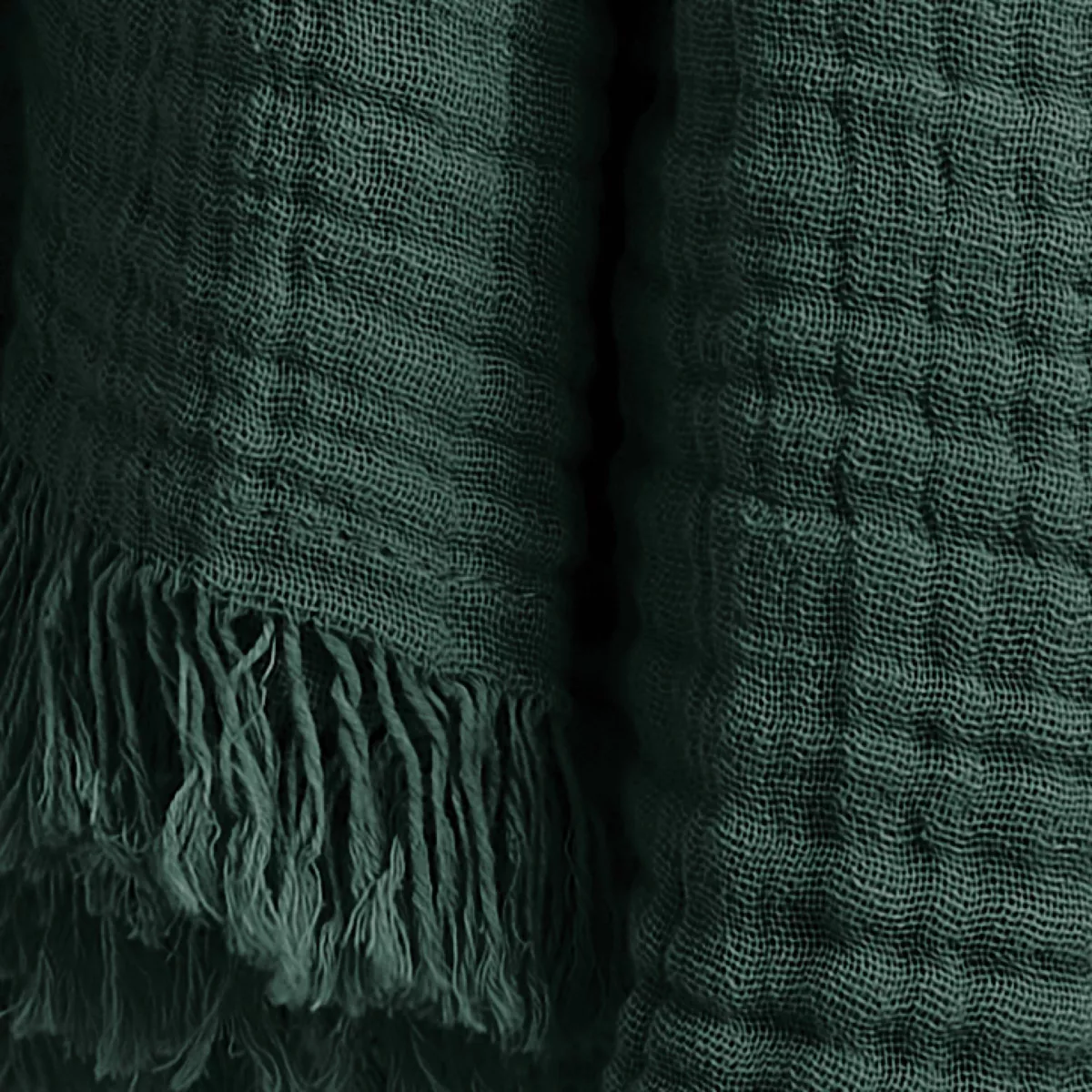 Manta de gasa de algodón (130 x 160 cm) Gaïa Verde Pino