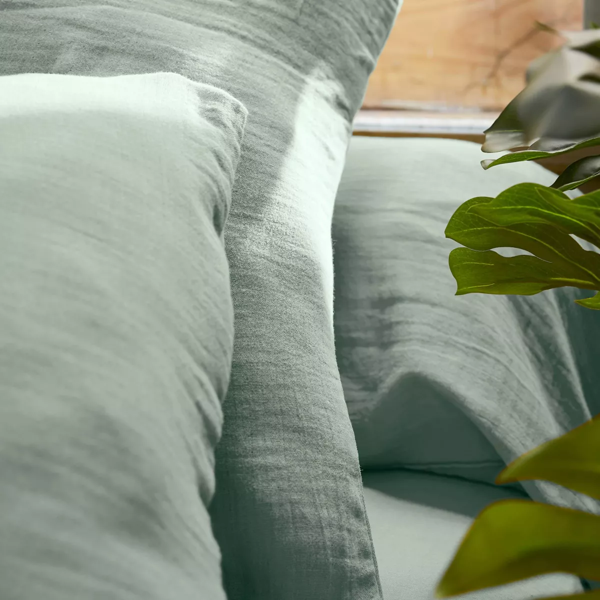 Kussensloop vierkant Katoengaas (60 x 60 cm) Gaïa Eucalyptus groen