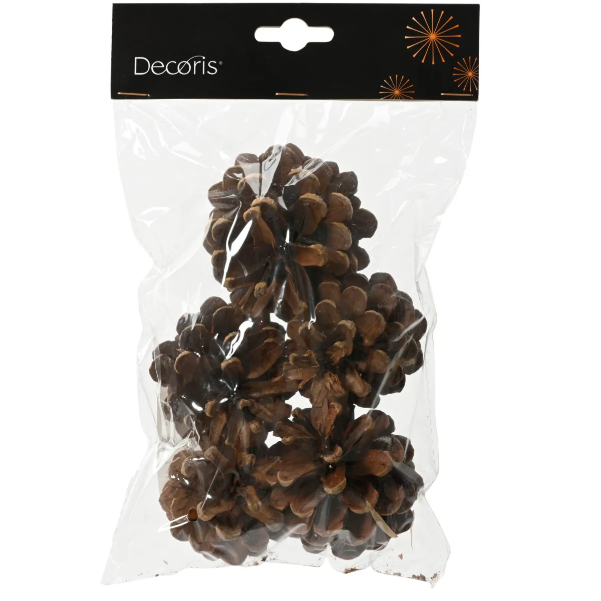 Sacchetto da 5 pigne (H15 cm) Naturale