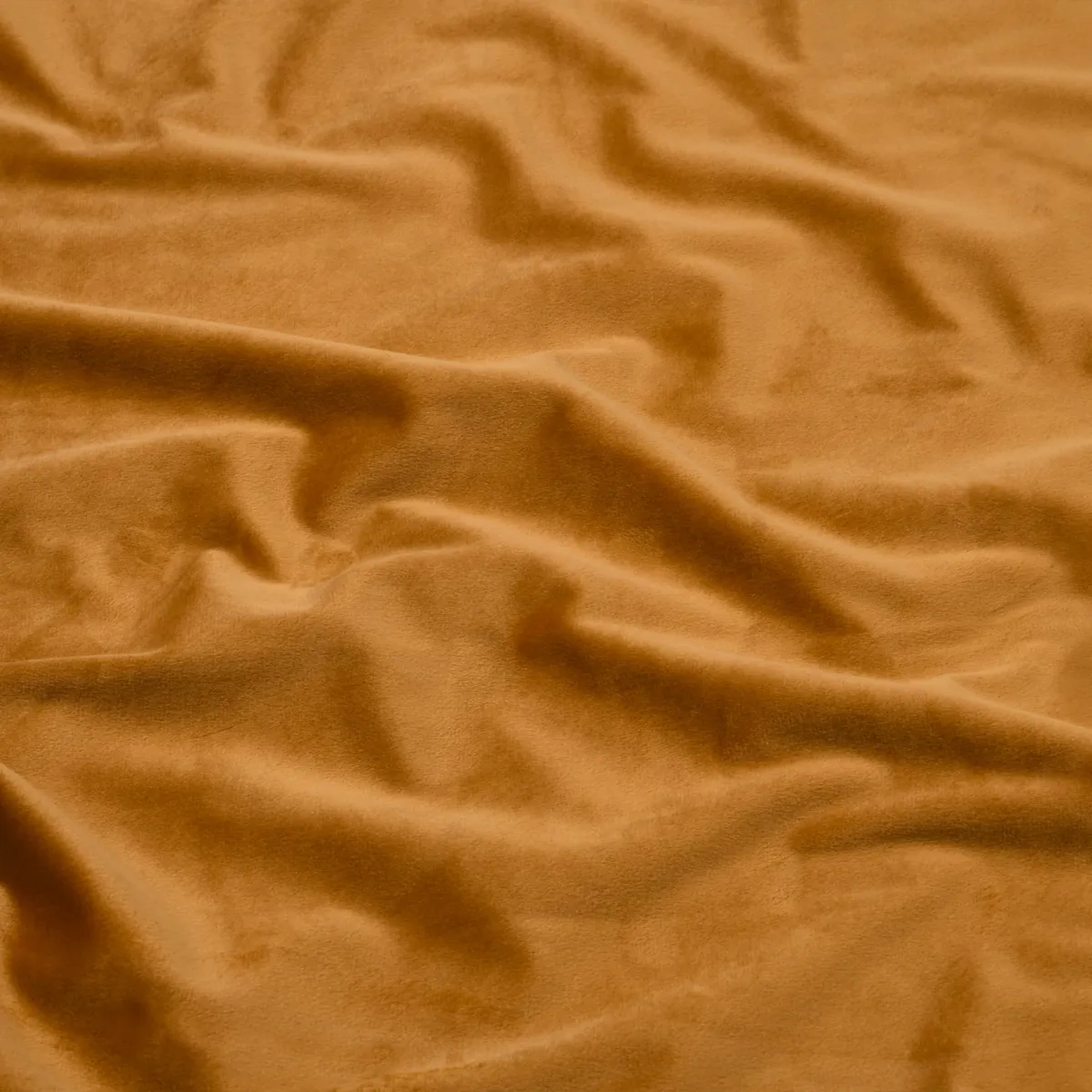 Copripiumino e due federe in velluto (240 x 220 cm) Amance Oro