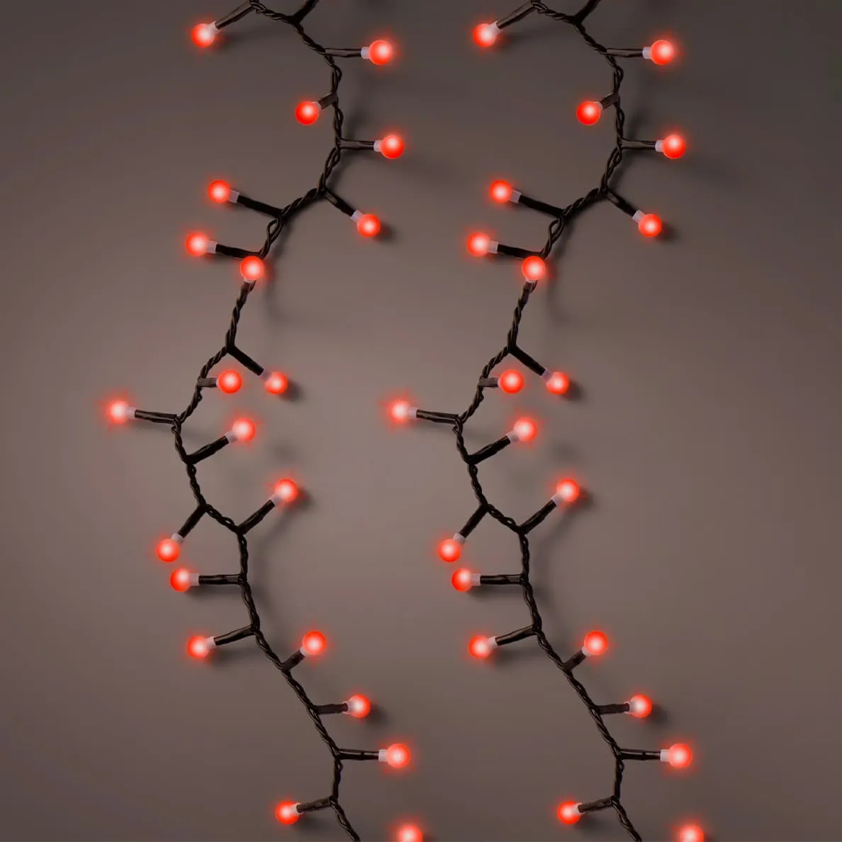 Catena luminosa 16 m 750 LED cavo nero Ciliegia Rosso