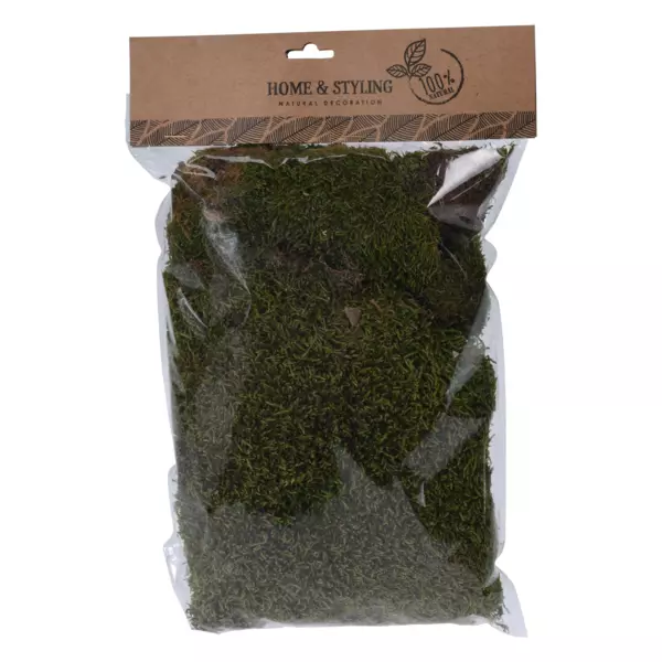 Sacchetto di muschio artificielle Vert
