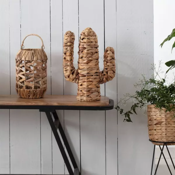 Dekorativ kaktus i vandhyacint (H35 cm) Haci
