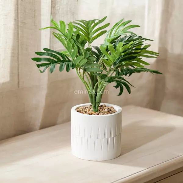 Palmera en maceta Etnik Verde