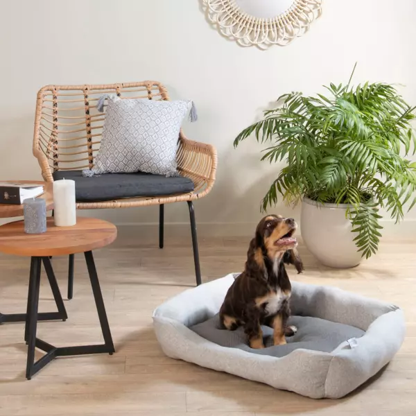 Mand rechthoekig (hond & kat) Graph�ne L60 cm Grijs