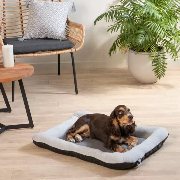 Madras til katte og hunde Graphene L60 cm Gr�
