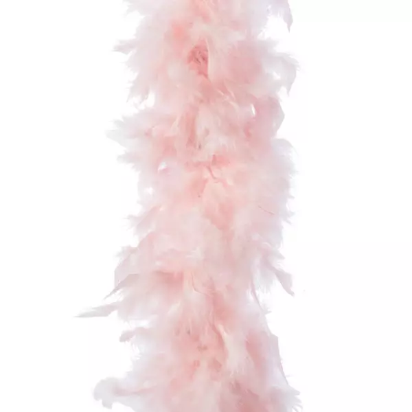 Guirlande Boa en plumes (184 cm) Deluxe Rose poudr�