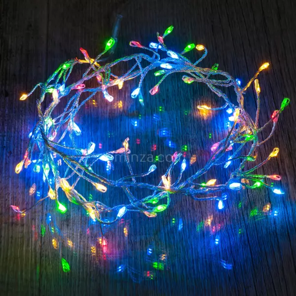 Guirlande lumineuse � piles 2 m 20 LED Fixe Multicolore